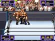 GBA - WWF: Road To Wrestlemania screenshot