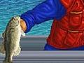 Nintendo DS - Super Black Bass Fishing screenshot