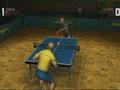 Nintendo Wii - Rockstar Games presents Table Tennis screenshot