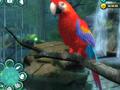 Nintendo Wii - Zoo Hospital screenshot