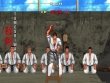 PC - Karate Master 2 Knock Down Blow screenshot
