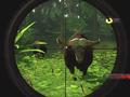 PlayStation 3 - Cabela's Dangerous Hunts 2009 screenshot