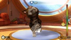 Xbox 360 - Fantastic Pets screenshot