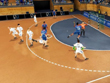 Xbox 360 - IHF Handball Challenge 14 screenshot